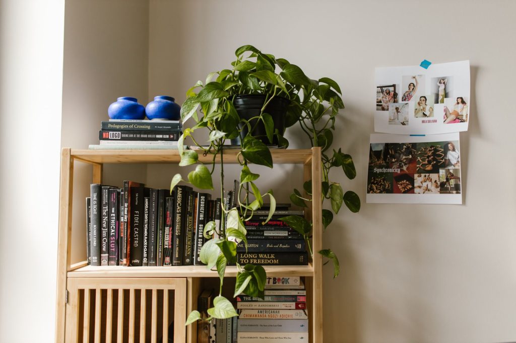Étagères murales garnies de livres et de plantes dans un salon