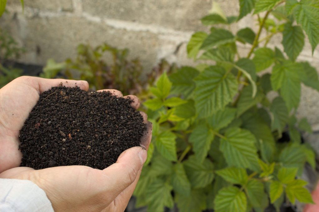 Remplissage d'un carré potager avec terre de jardin et compost