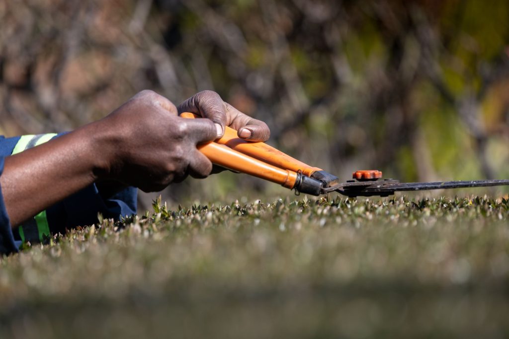 Mains gantées taillant une tige d arbuste au sécateur