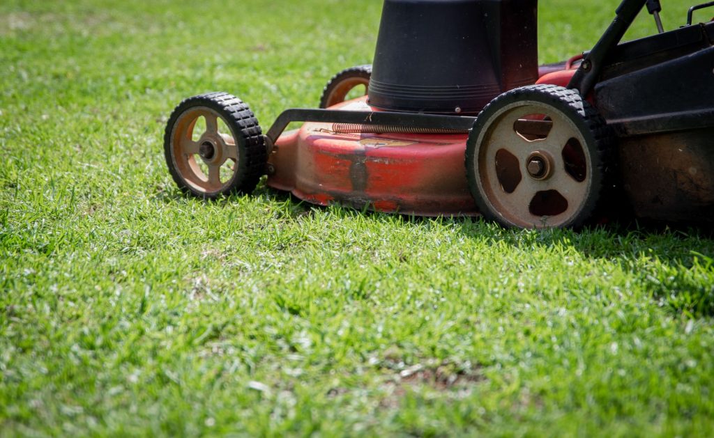 Tondeuse en train de couper l’herbe d’une pelouse