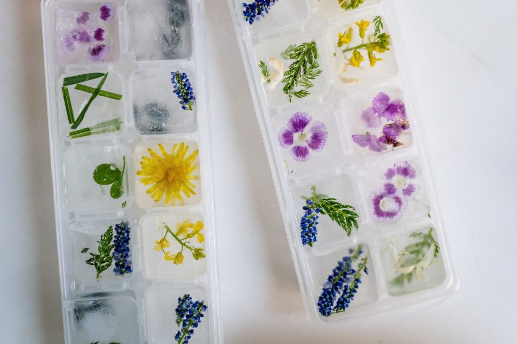 Herbes hachees reparties dans un bac a glacons avant congelation