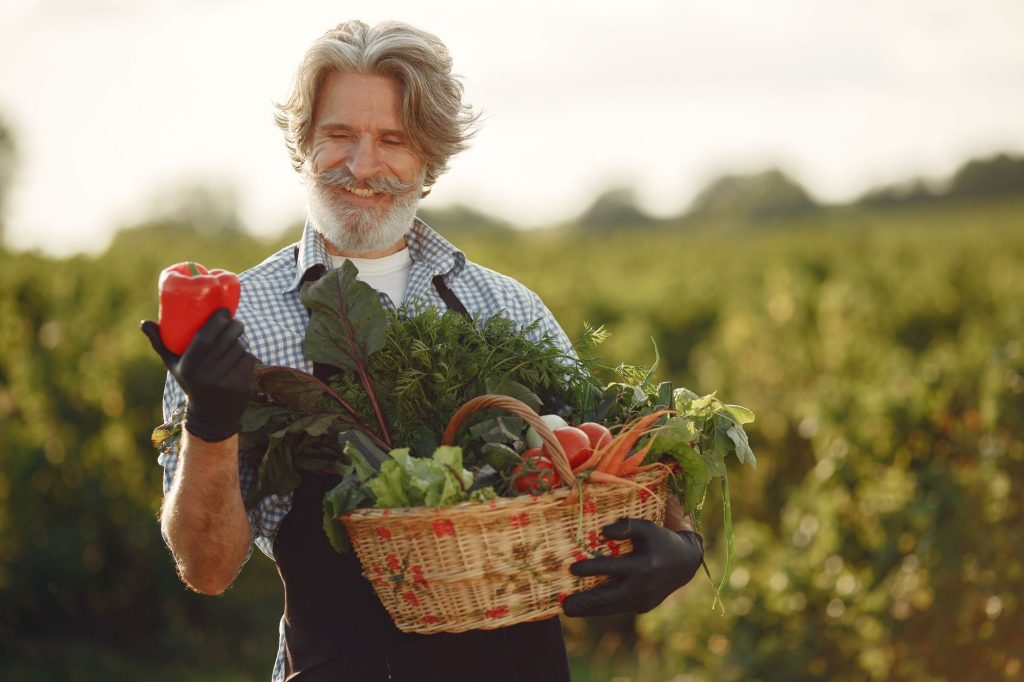Panier de légumes fraîchement récoltés au potager prêts à être congelés