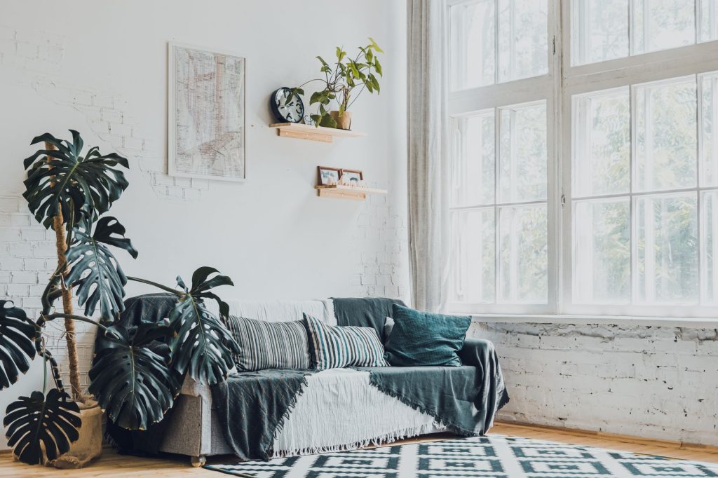 Monstera et plantes vertes dans un salon lumineux