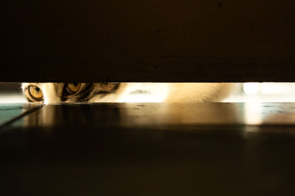 Bas d'une porte en bois laissant passer un courant d'air froid