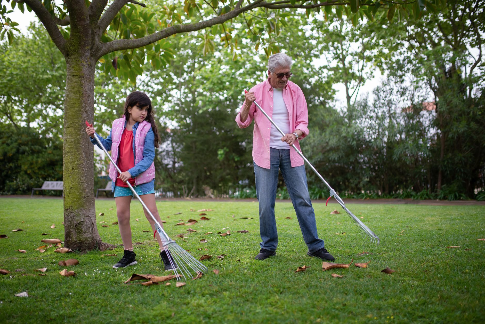 Préparer son jardin pour l&rsquo;hiver : la check-list d&rsquo;automne